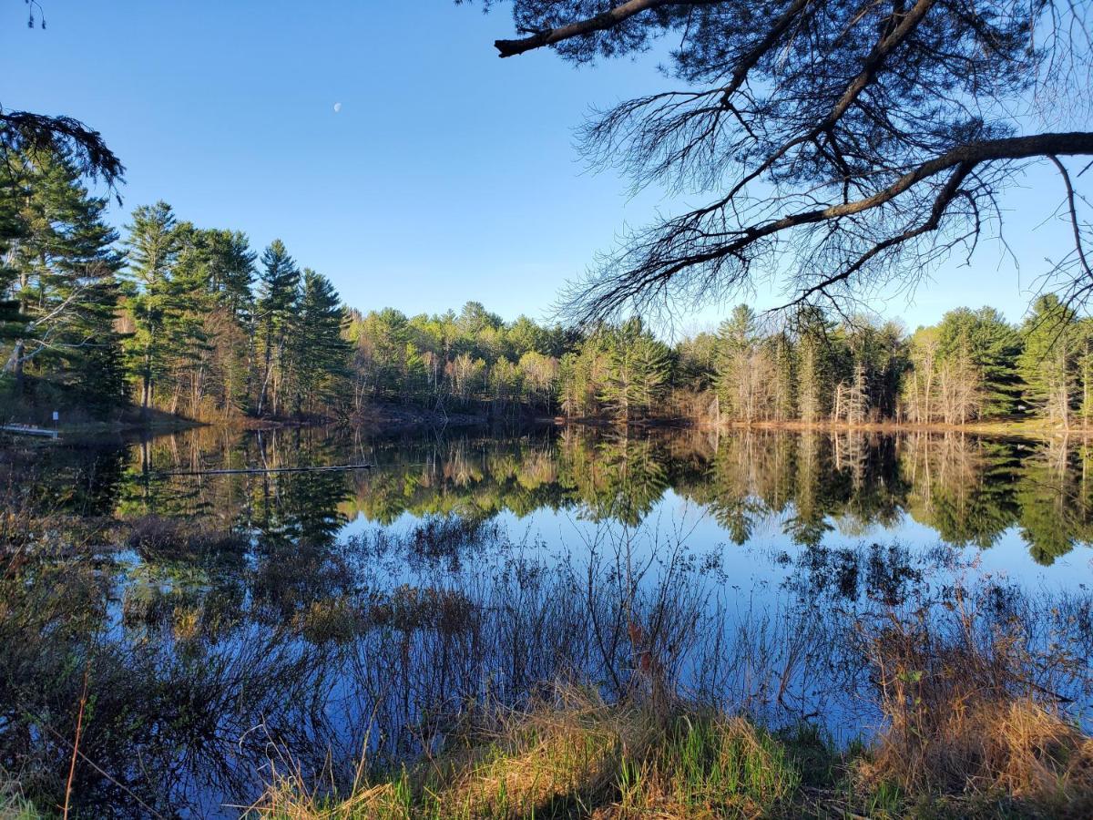 Spring Lake Resort Dwight 외부 사진