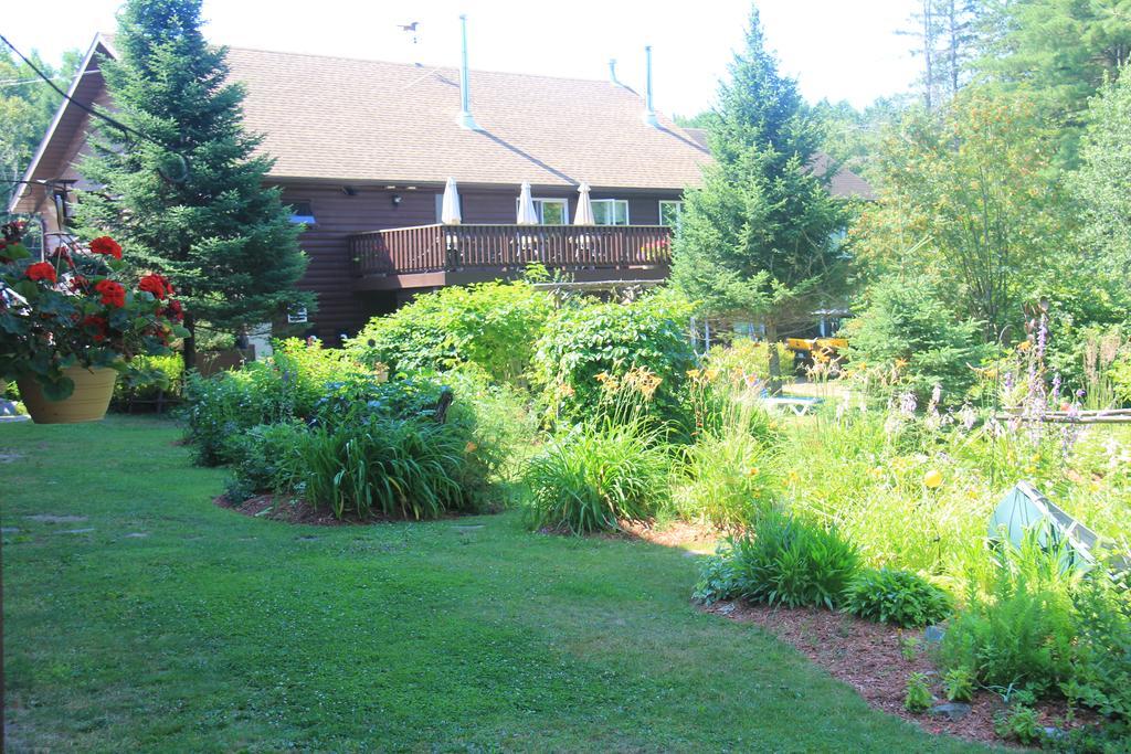 Spring Lake Resort Dwight 외부 사진