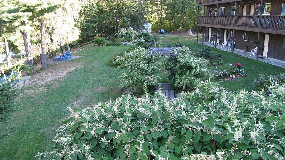 Spring Lake Resort Dwight 외부 사진